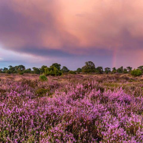 B&B De Panheide Hooghalen Dış mekan fotoğraf
