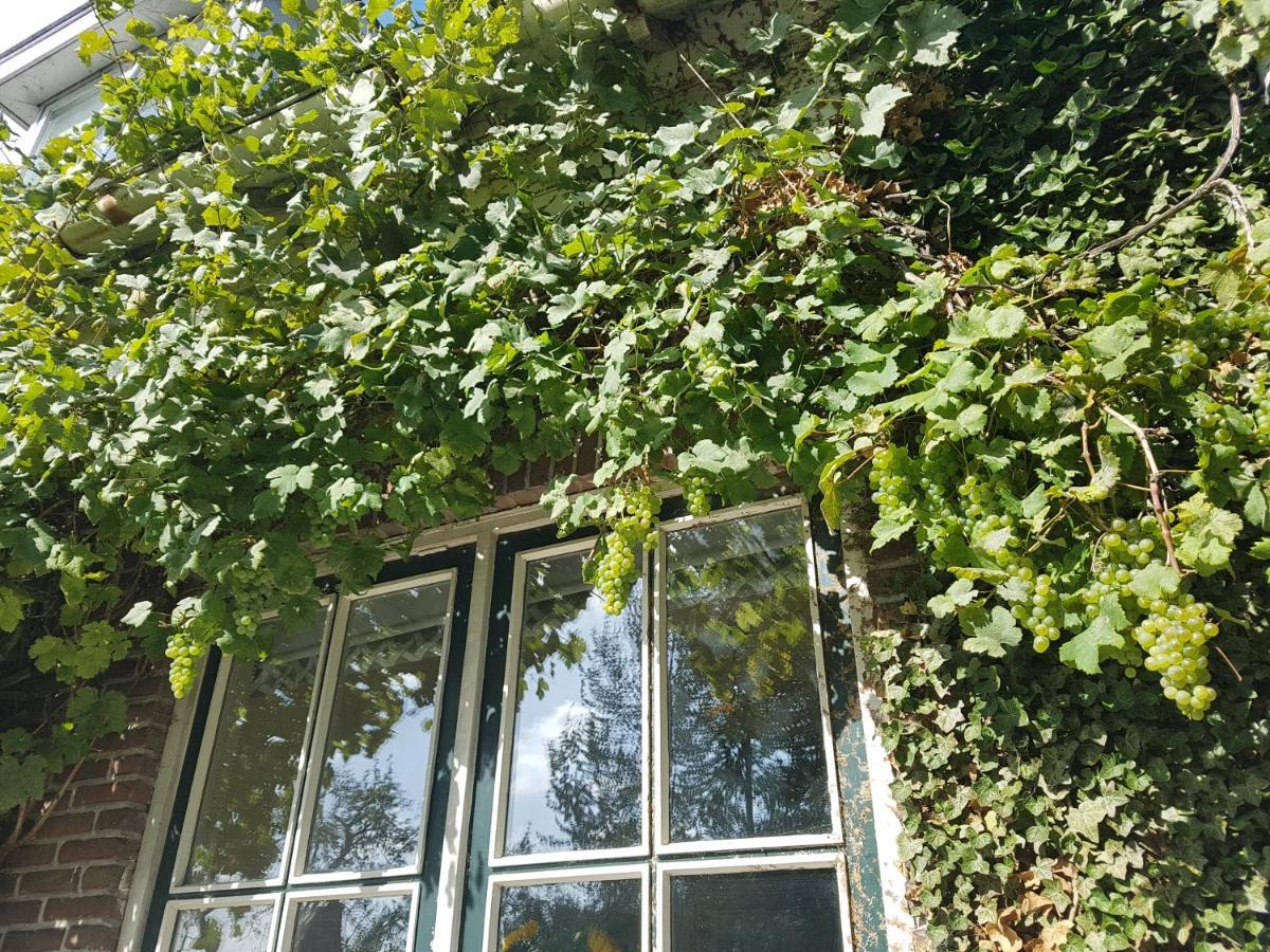 B&B De Panheide Hooghalen Dış mekan fotoğraf