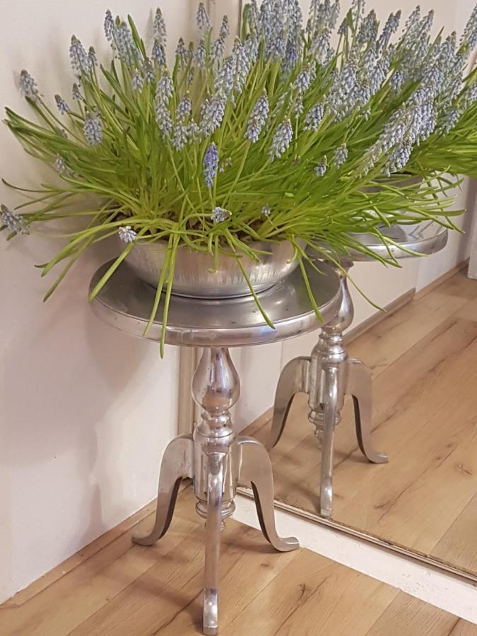B&B De Panheide Hooghalen Dış mekan fotoğraf