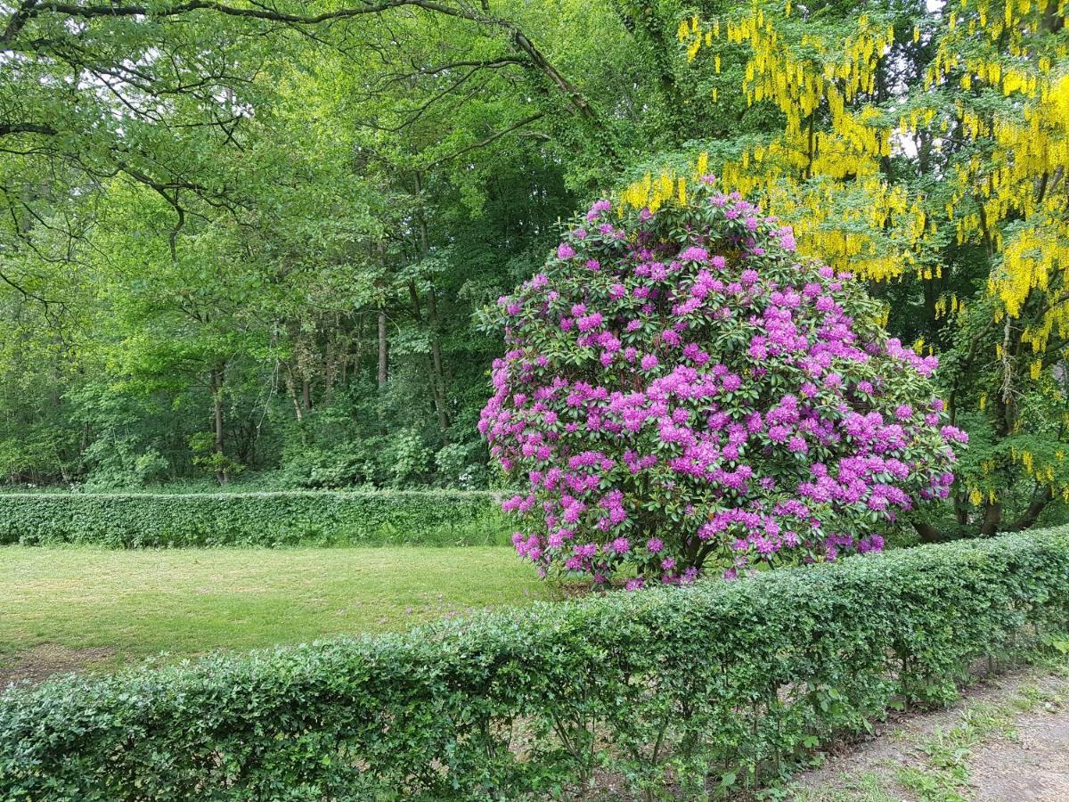 B&B De Panheide Hooghalen Dış mekan fotoğraf